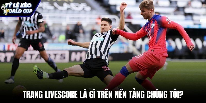 Bảng livescore cập nhật tỷ số bóng đá trực tuyến