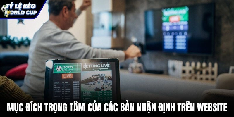 Quy trình biên soạn bài soi kèo nhà cái dựa trên dữ liệu